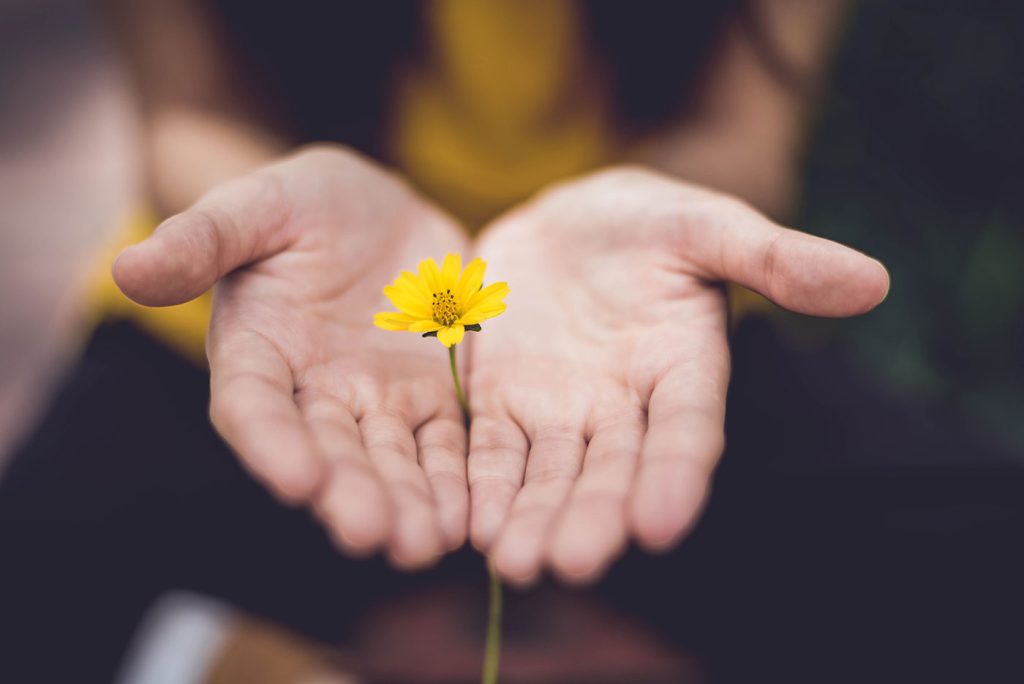 Giving is Good 2 lina trochez ktPKyUs3Qjs unsplash