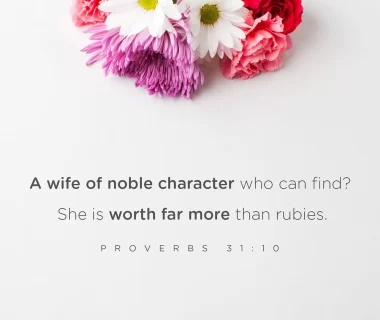 Abigail A Woman of Virtue and Discernment