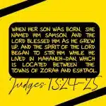 THE RISE AND FALL OF SAMSON