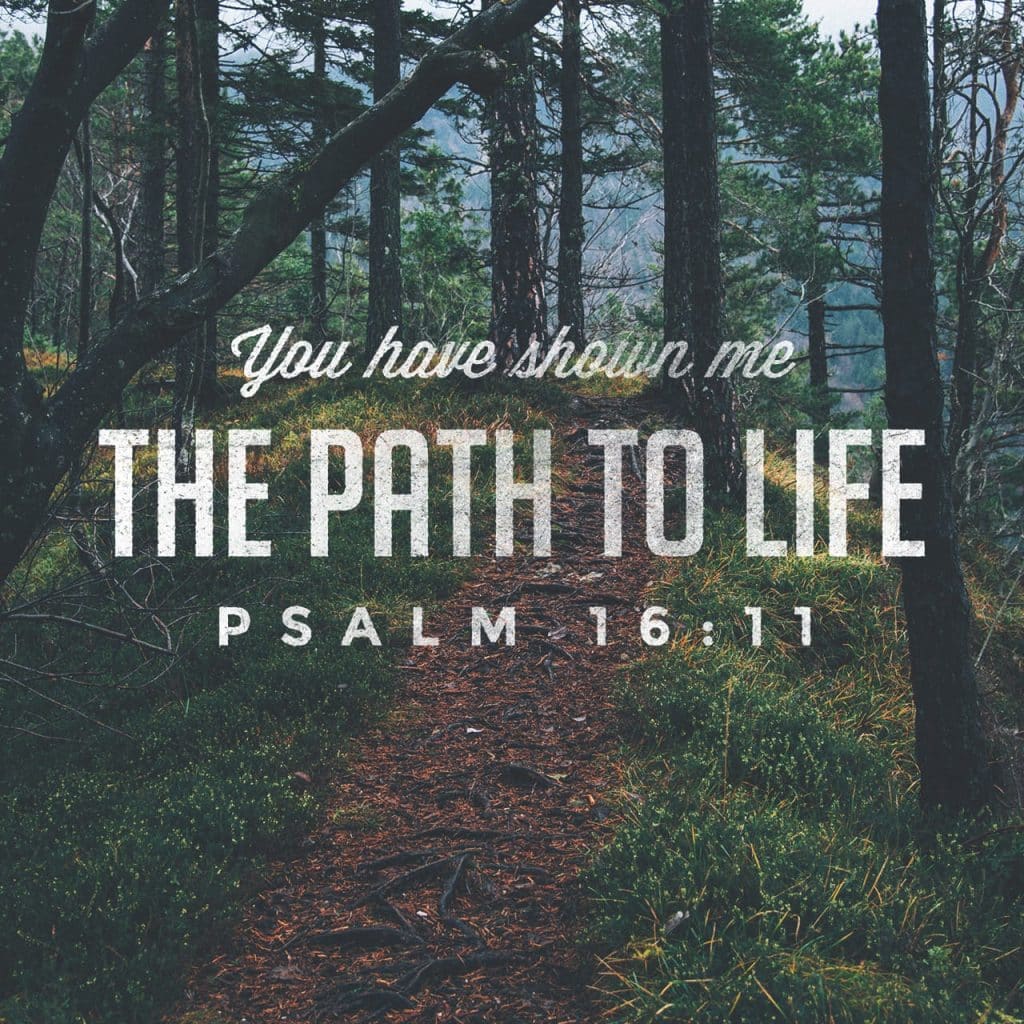 YOU ARE CREATED FOR GOD PLEASURE 1 YOU ARE CREATED FOR GOD PLEASURE