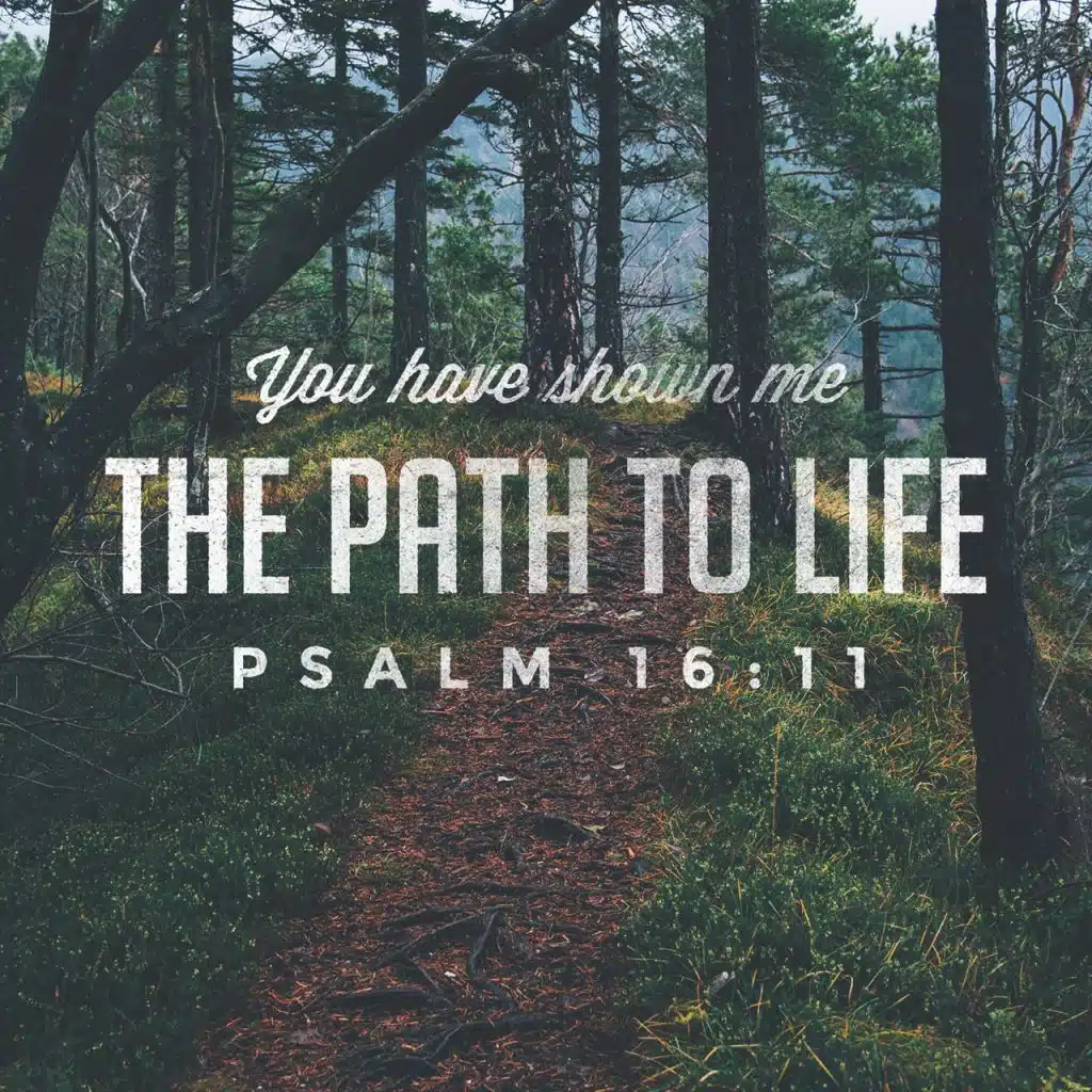 YOU ARE CREATED FOR GOD PLEASURE