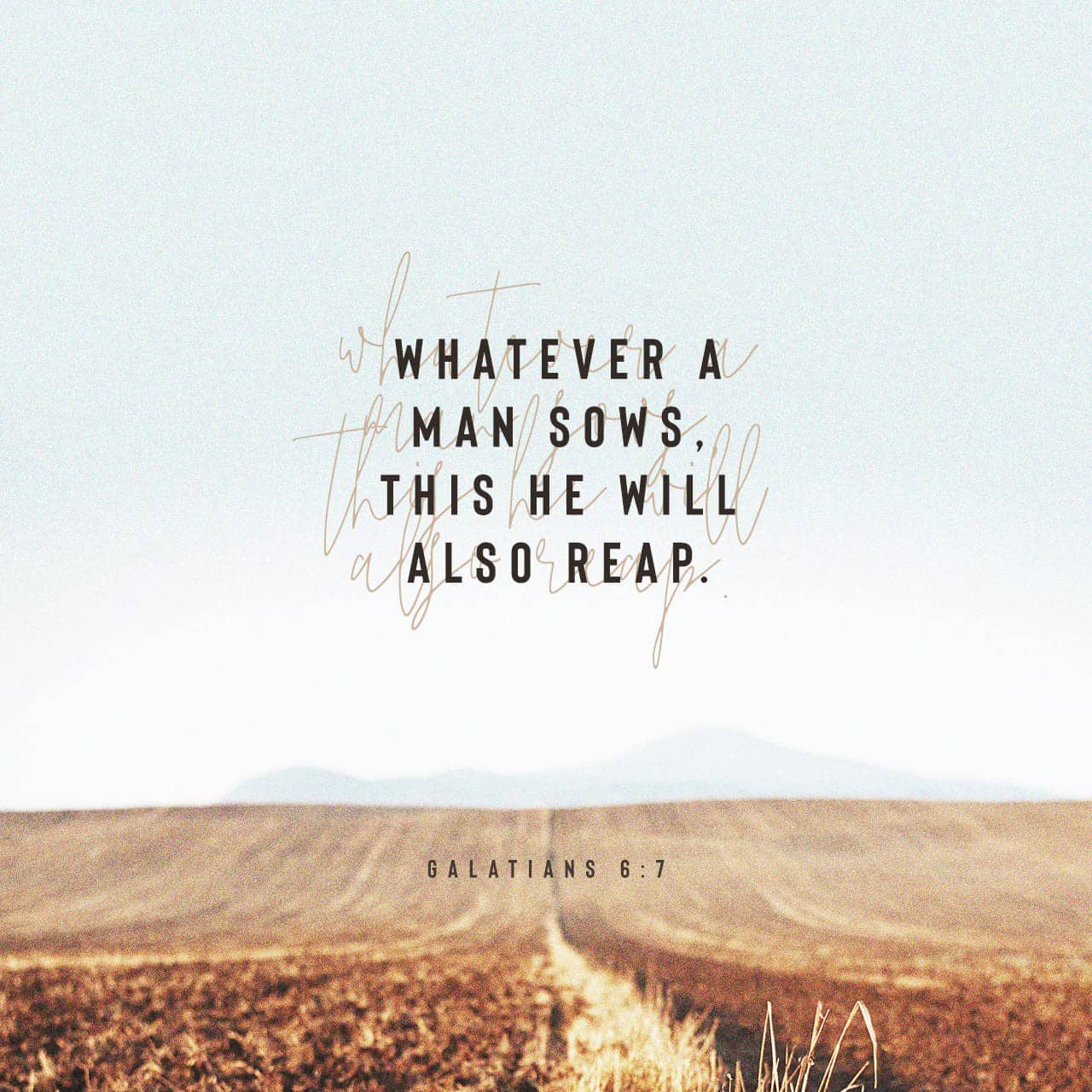 HARVESTING LIKE THE MASTER