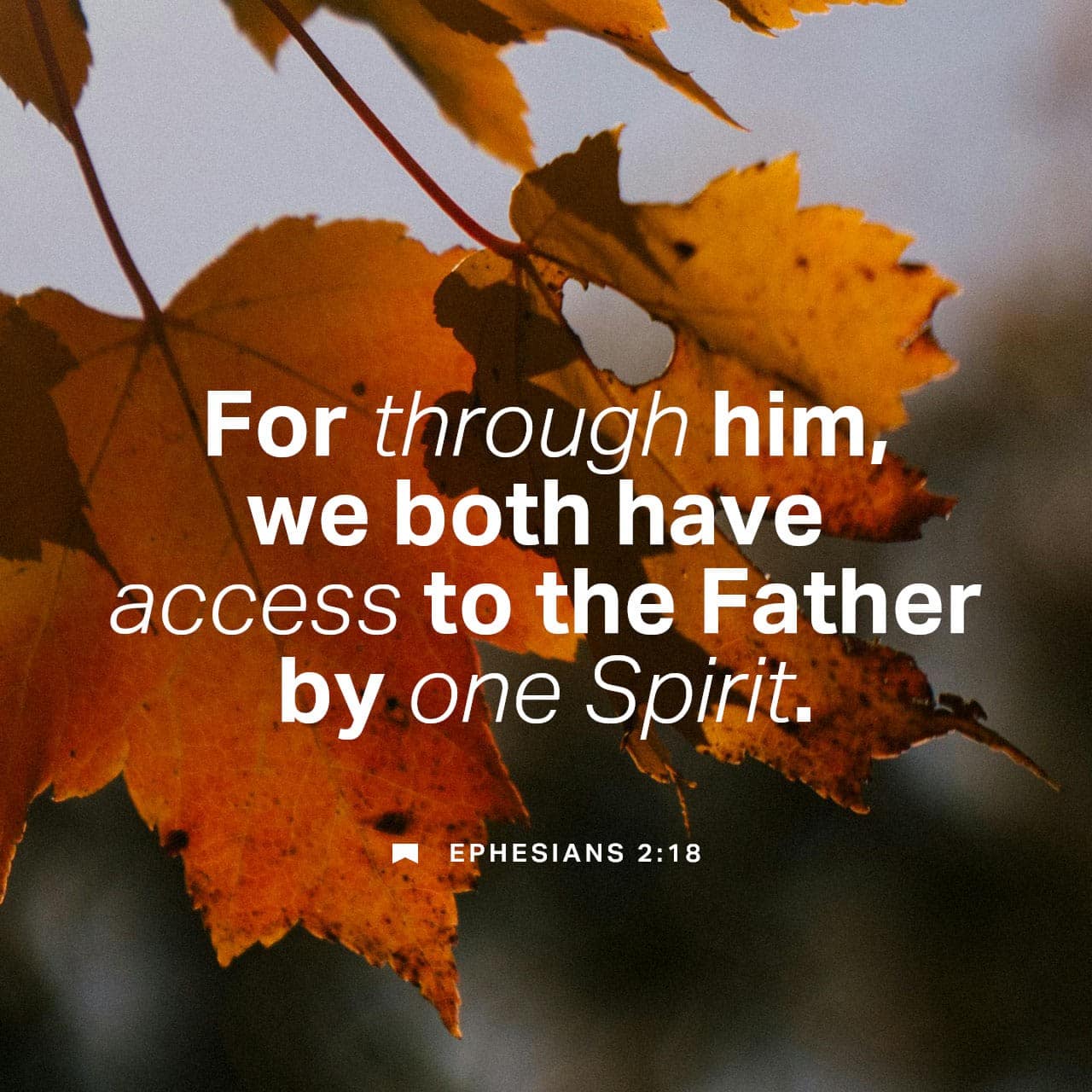 ACCESS THROUGH CHRIST