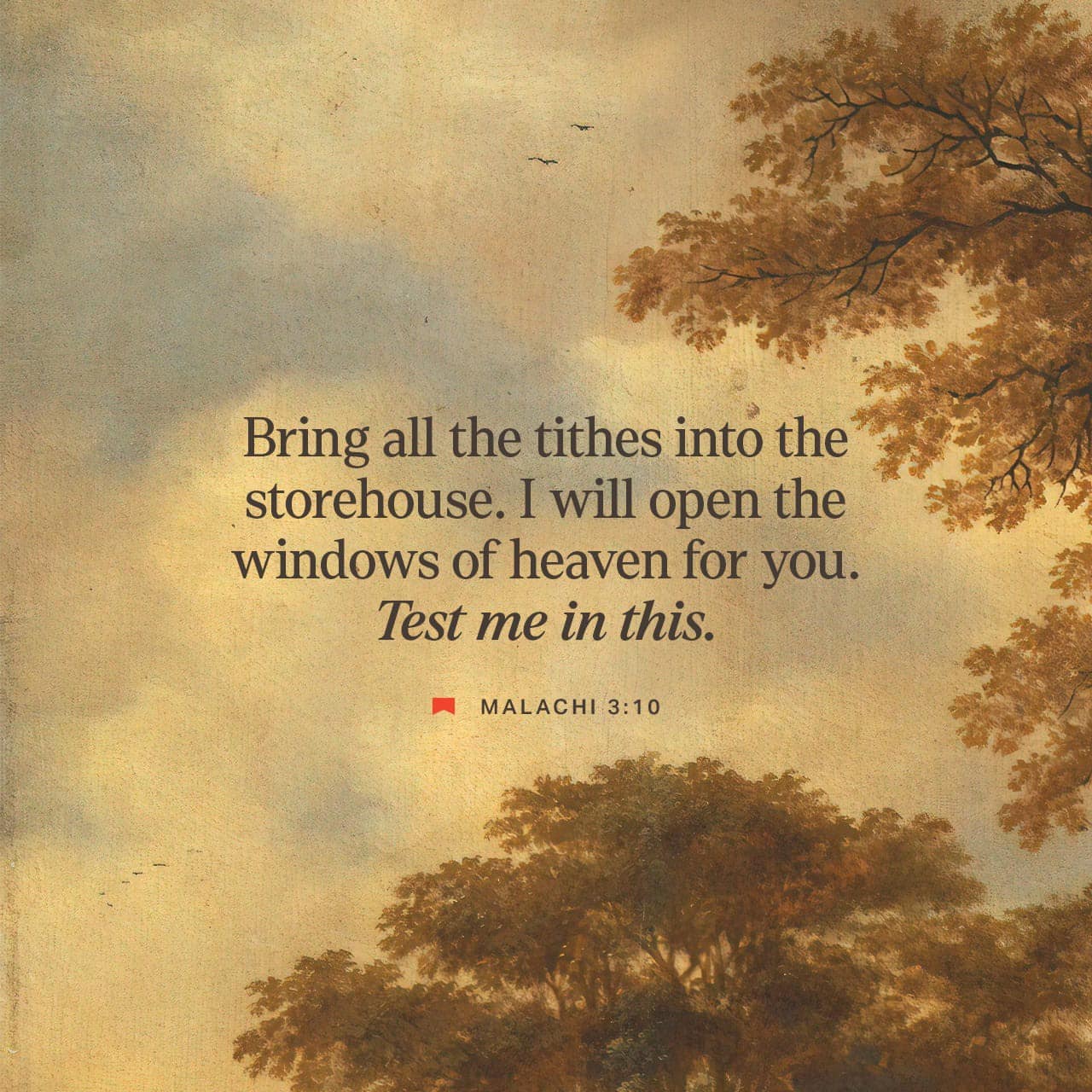 RECIPROCITY OF GENEROSITY