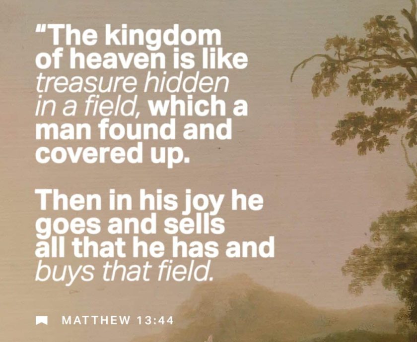 THE KINGDOM THE FIELD AND THE SEED
