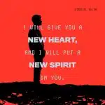 A NEW IDENTITY—FROM CONDEMNATION TO DIVINE SONSHIP