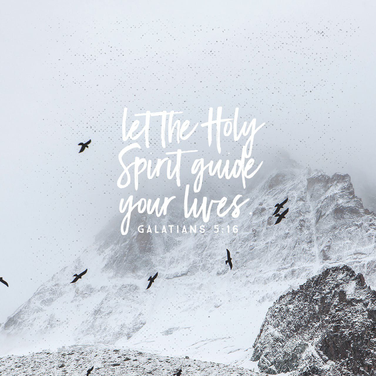 THE SPIRIT ACCOMPLISHES GOD’S WILL