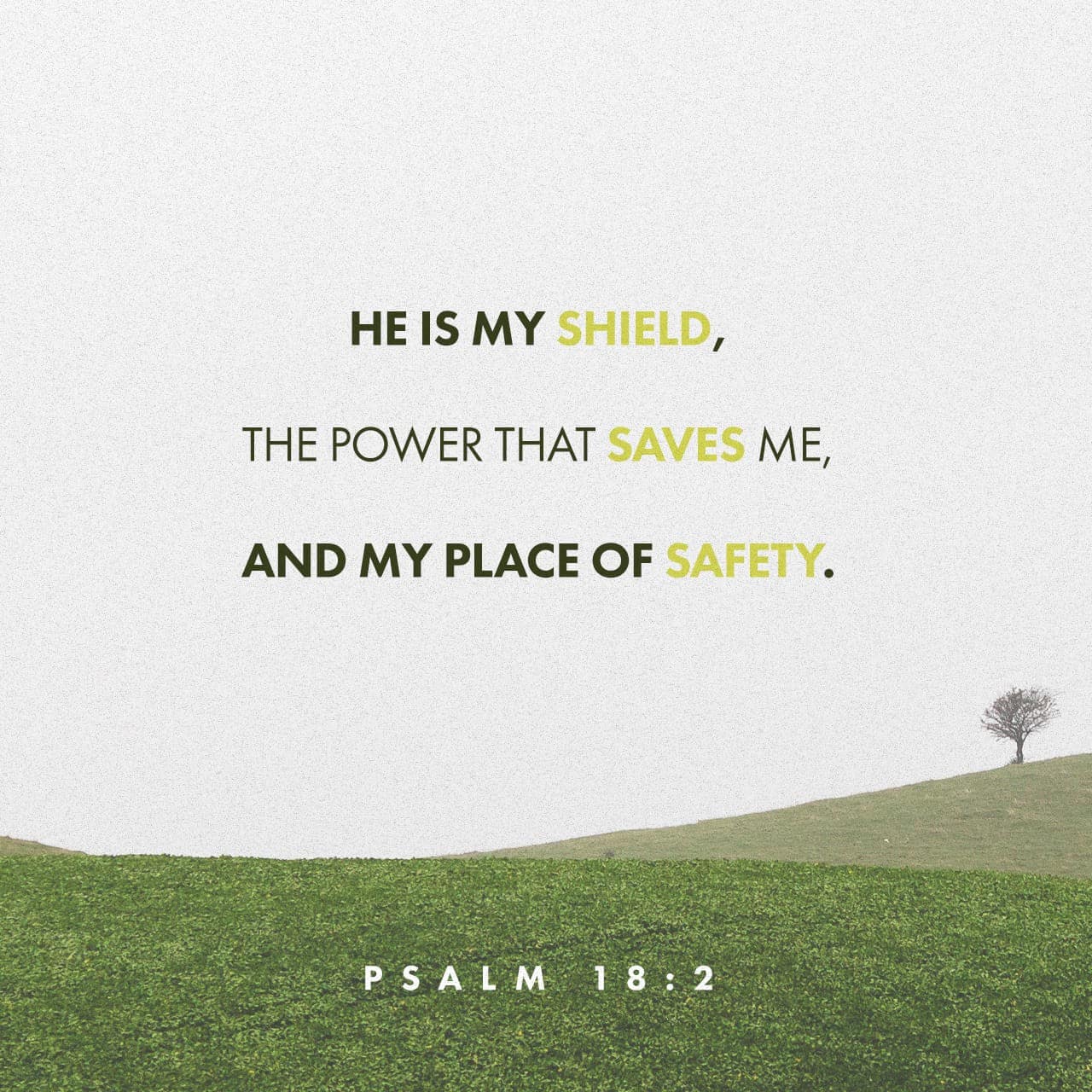 WHAT IS THE FOUNDATION OF YOUR LIFE