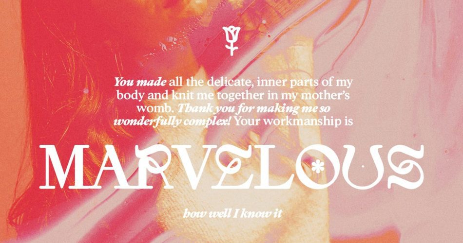 IMG 20260112 090335 1