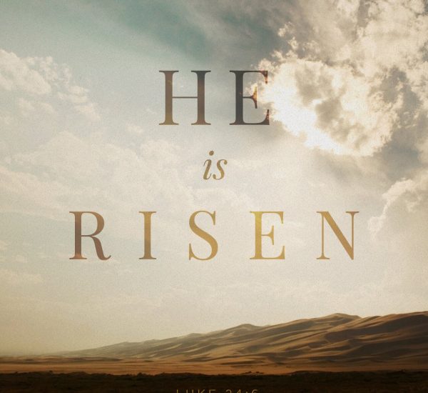 THE THREE WOMEN AND THE EVIL PLACENTA KITCHEN