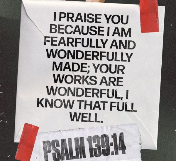 AN OLD BROOM KNOWS EVERY CORNER OF THE HOUSE