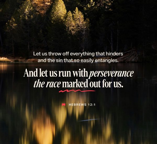 DEVELOPING AN OVERCOMER’S HEART TO BECOME FRUITFUL