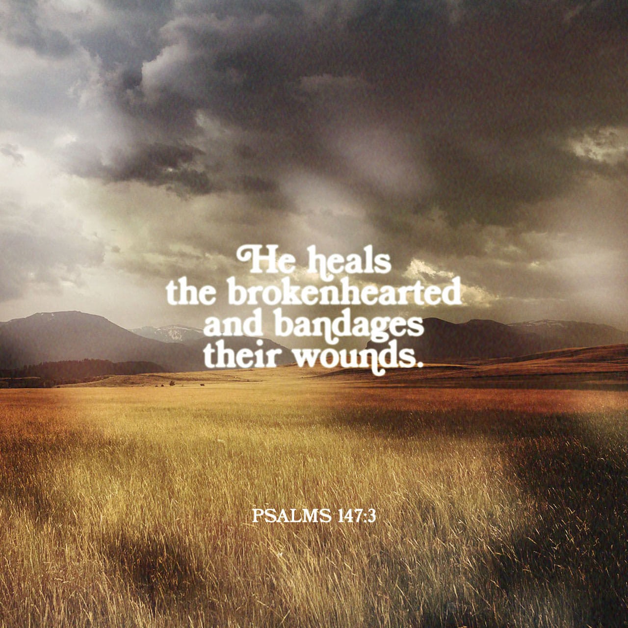 HEALING FOR THE BROKEN BONE