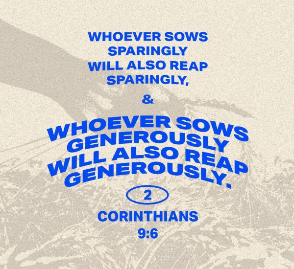 YOU REAP WHAT YOU SOW