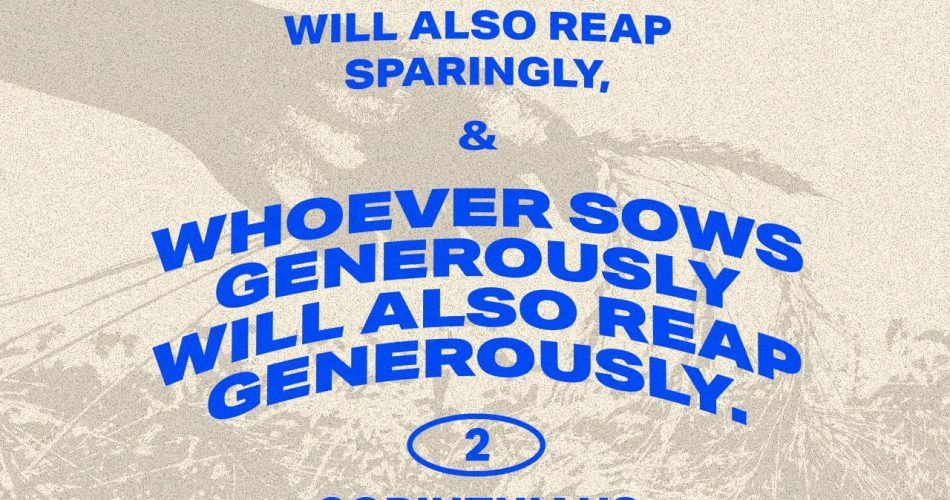 YOU REAP WHAT YOU SOW