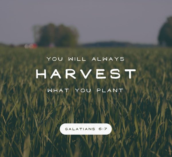 THE IMPORTANCE OF CHOICES