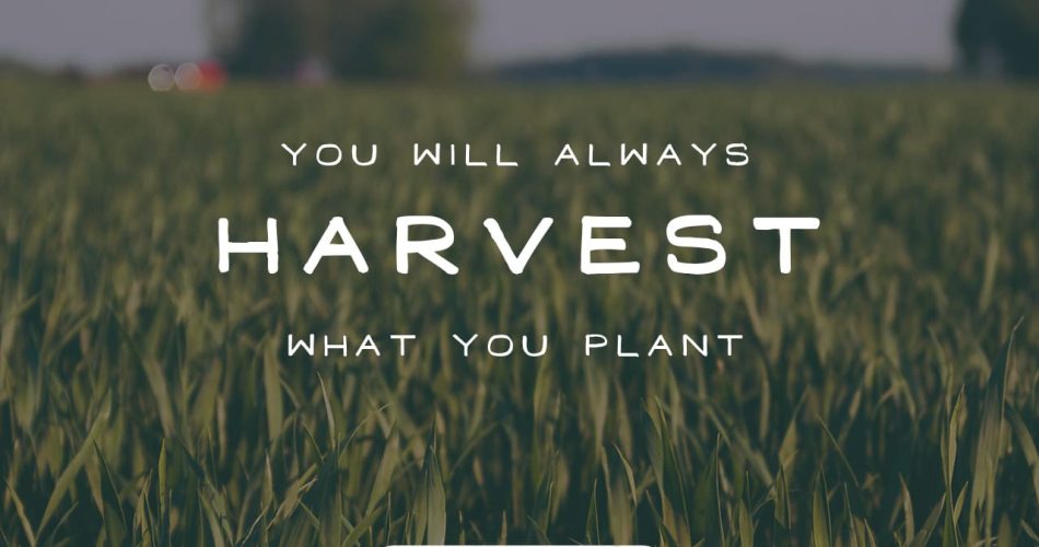 THE IMPORTANCE OF CHOICES