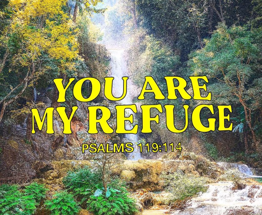 THE WORD IN YOU