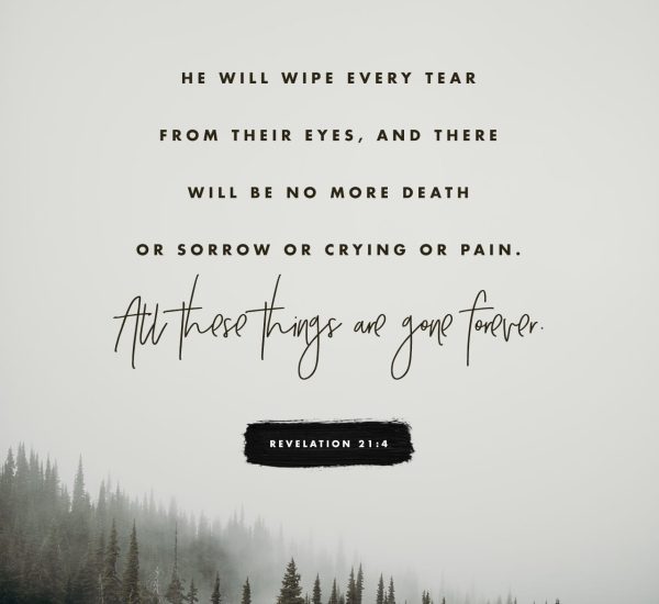 THE REALITY OF HEAVEN