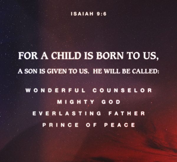 THE CONSCIOUSNESS OF HIS LORDSHIP