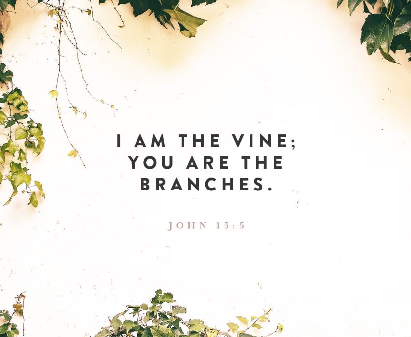 ROOTED IN BLESSINGS