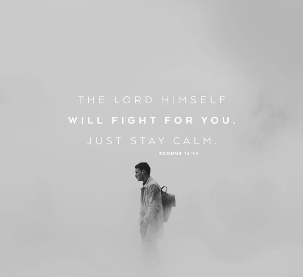 ALLOWING GOD TO FIGHT YOUR BATTLES