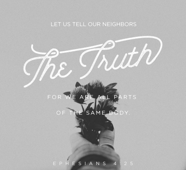 THE DEPARTMENTS OF LIES