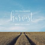 OPEN HEAVEN REFLECTION MARCH 28 2026 | THE WORD IS SEED