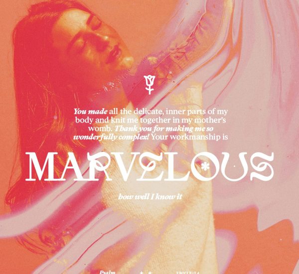 THE WONDER OF WONDERS