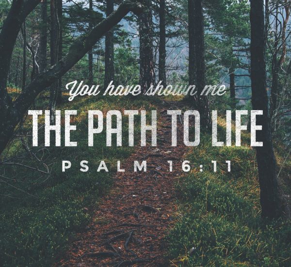 WHAT VALUE DOES YOUR PRESENCE CARRY