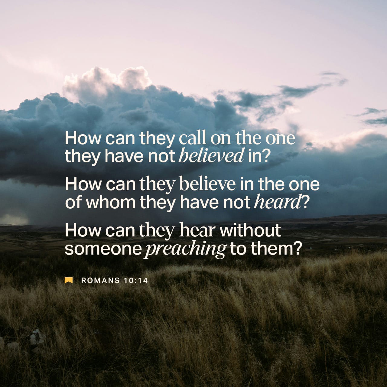 OPEN HEAVEN REFLECTION APRIL 17 2026 | REVERSING BARRENNESS