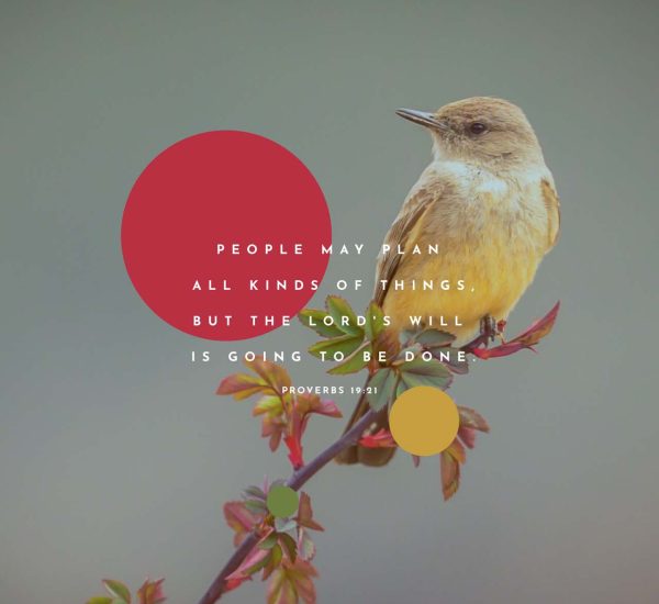 THE RISK OF IGNORING GOD'S COUNSEL