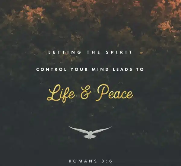 PEACE WITH THE OFFENDED