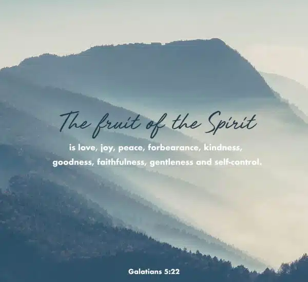 AVOIDING HASTY CONCLUSIONS