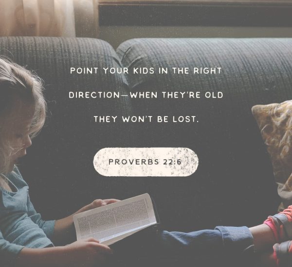 RAISING GODLY BOYS