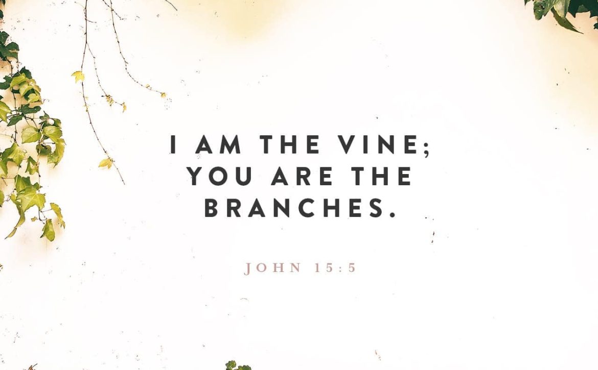 Blog Listing 7 DIVINE AUTHORISATION FOR UNSTOPPABLE GROWTH