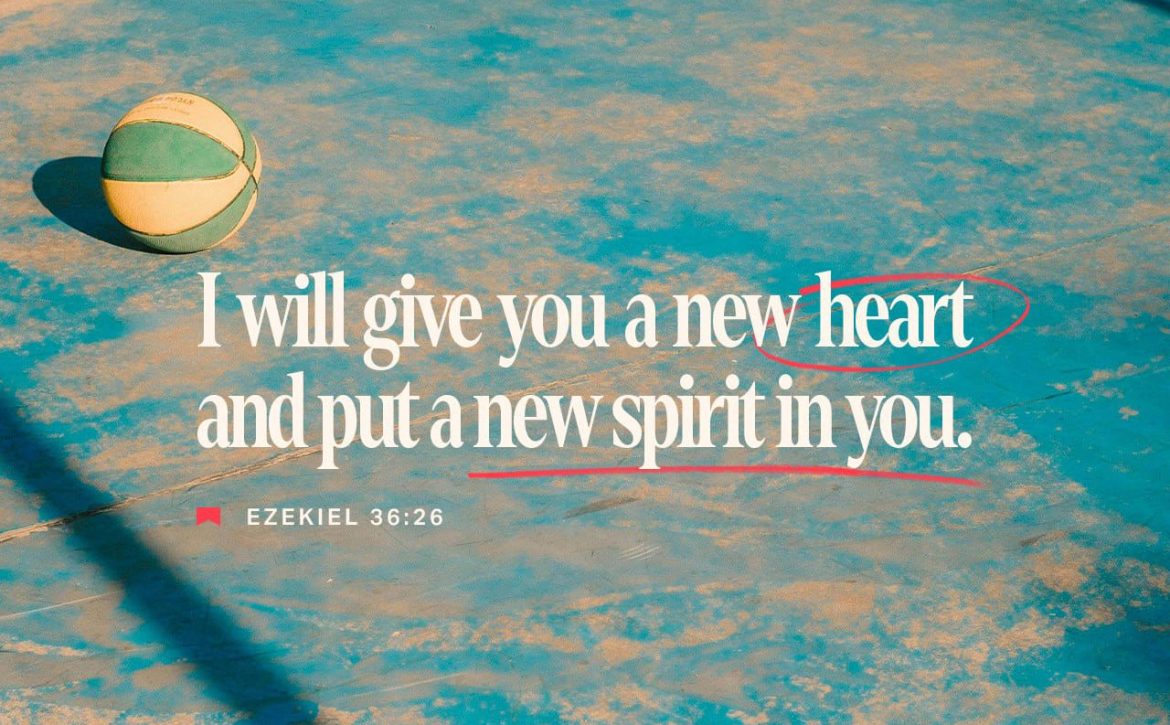 Blog Listing 7 A BRAND-NEW HEART — PART IV