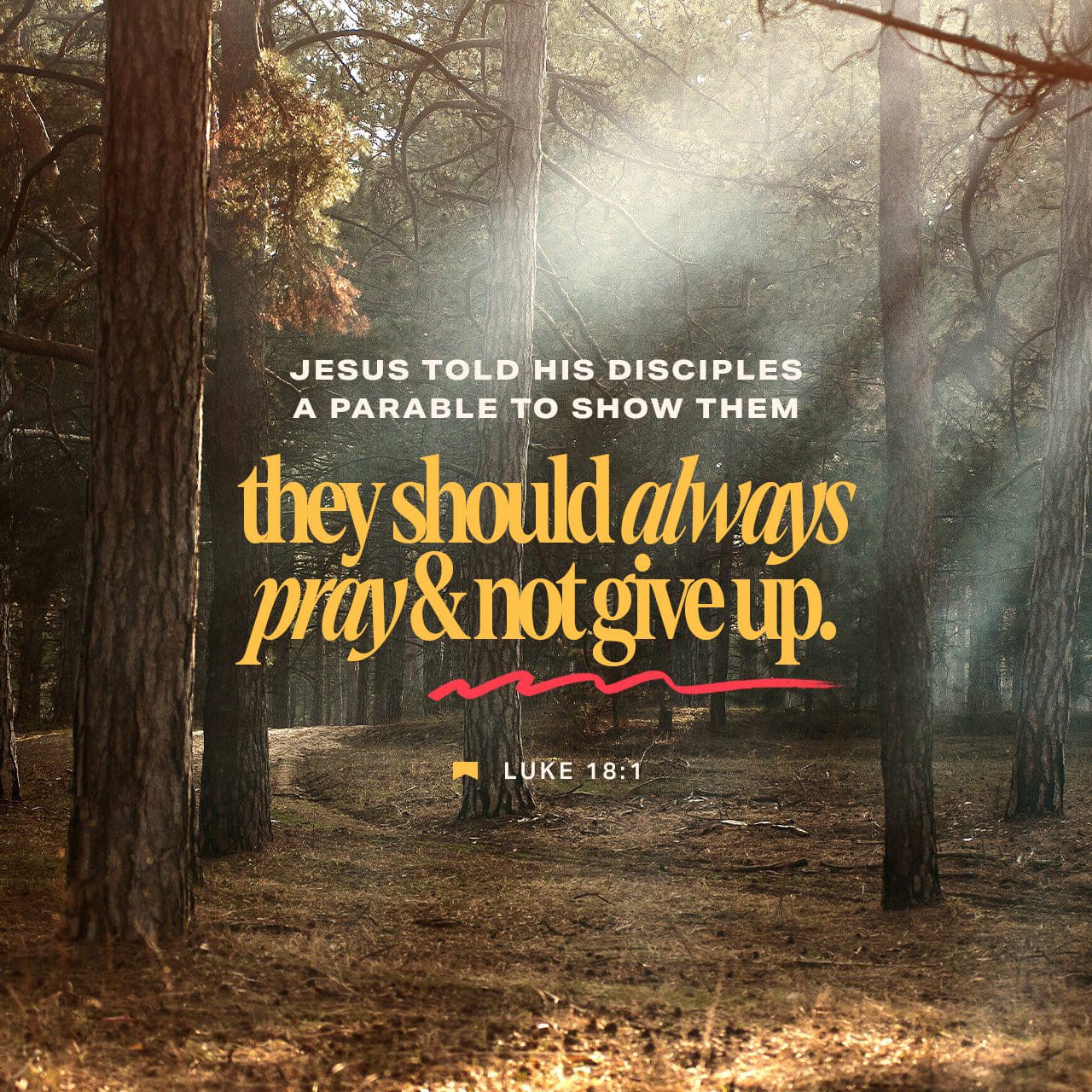 PRAYER—A CATALYST FOR DIVINE INTERVENTION