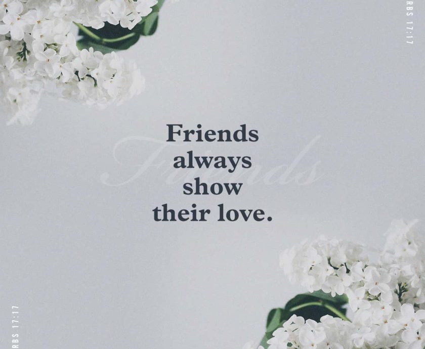MIND YOUR FRIENDS