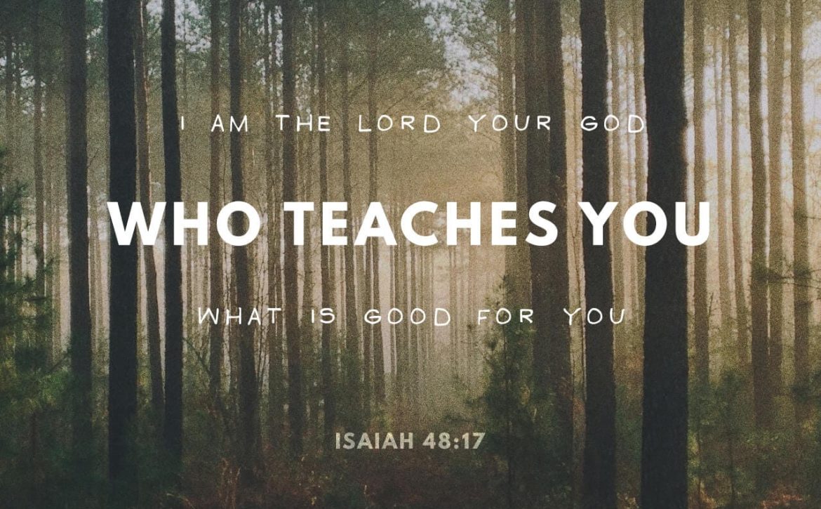Blog Listing 4 DISCERN THE SOURCE