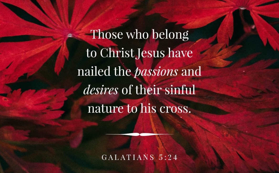 Blog Listing 7 THE FLESH HAS BEEN CRUCIFIED