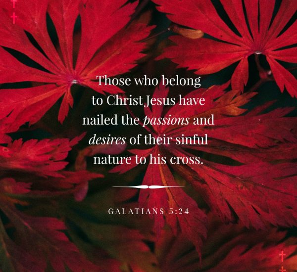 OPEN HEAVEN REFLECTION JUNE 15, 2026 | THE FLESH HAS BEEN CRUCIFIED 2 THE FLESH HAS BEEN CRUCIFIED