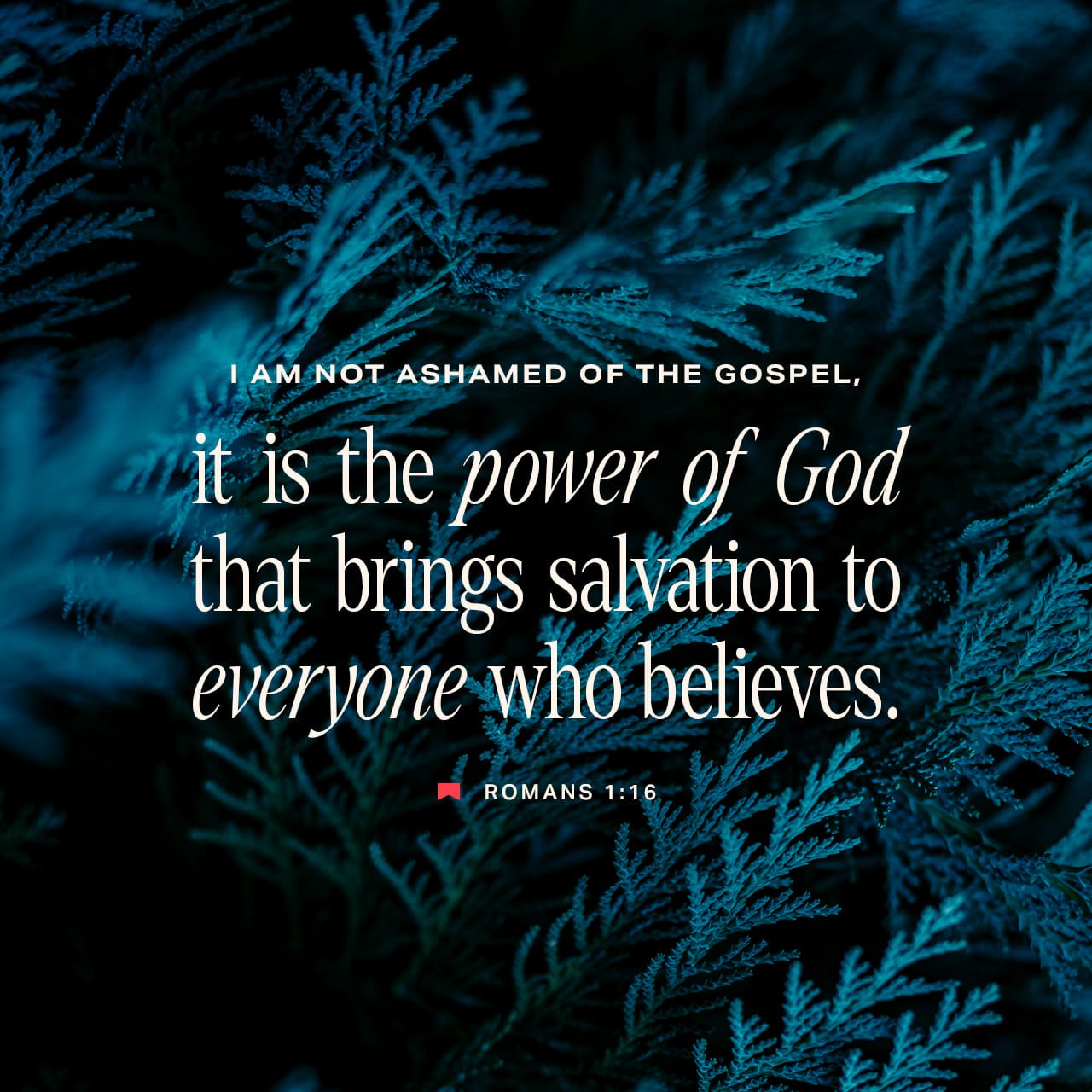 THE POWER IS IN THE GOSPEL