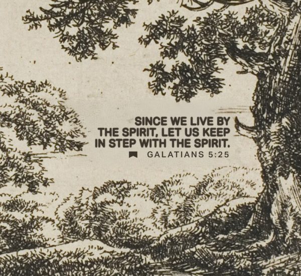 LET YOUR SPIRIT TAKE THE LEAD