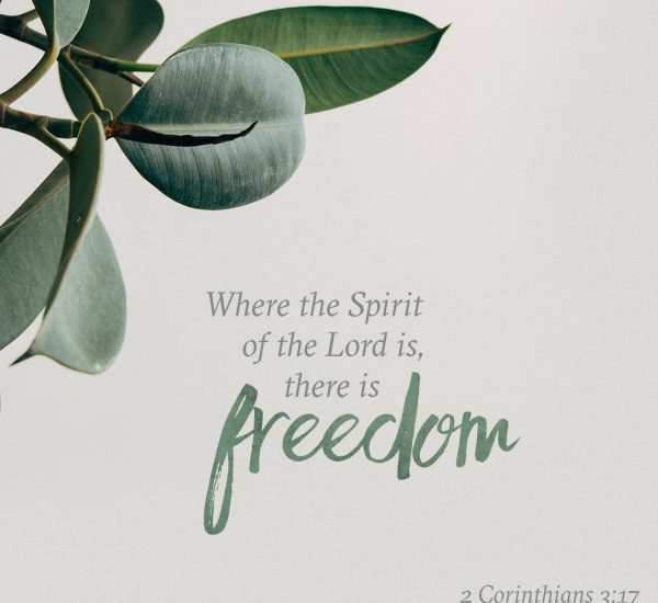 OPEN HEAVEN REFLECTION JULY 20, 2026 | THE KEYS TO FREEDOM, PART 1 7 THE KEYS TO FREEDOM, PART 1