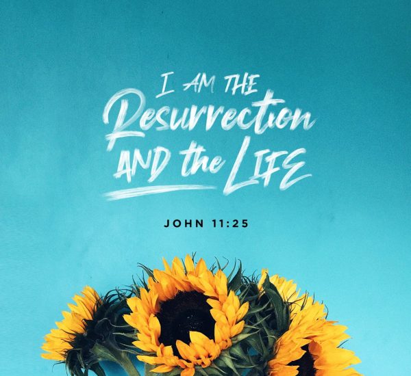 IF YOU HAVE JESUS, YOU HAVE LIFE