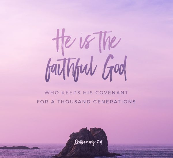 THE GAINS OF GOD'S COVENANT II